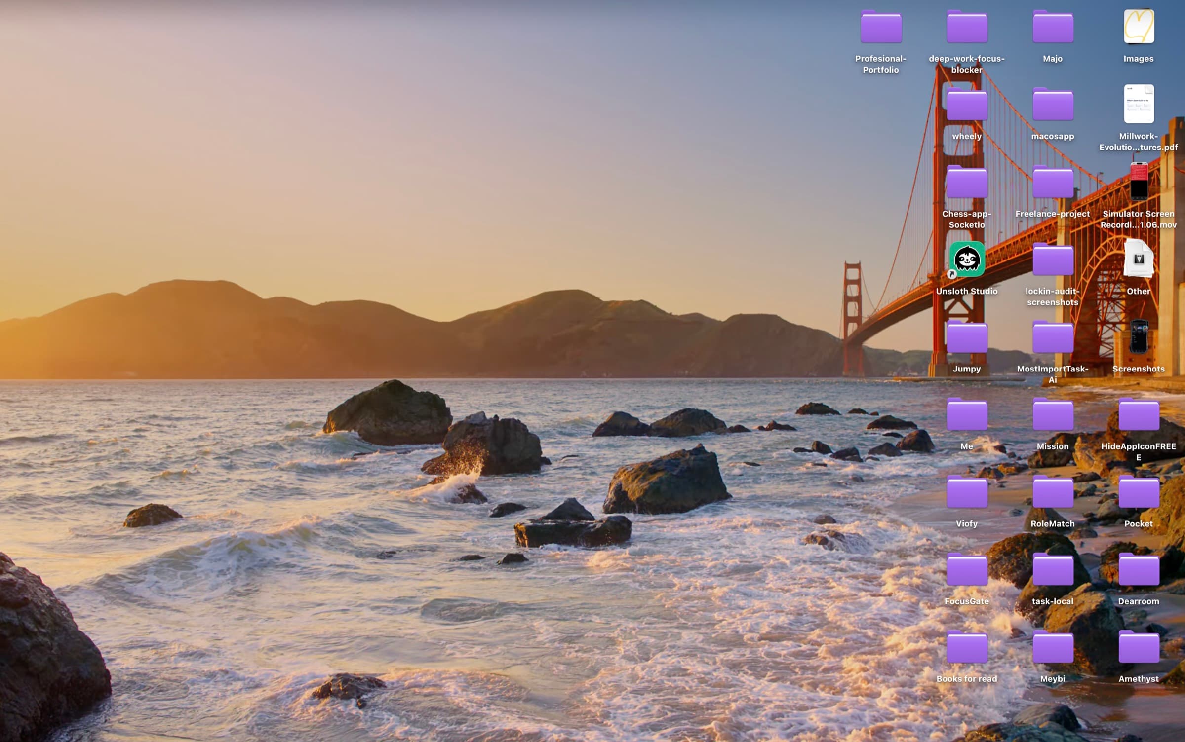 A real Mac Desktop covered in folders, files and screenshots